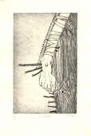 El Christo de la Luz 