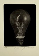 (L.) Lucius 