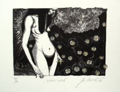 Sbírání hvězd (Inter Amorem Silent Muse)