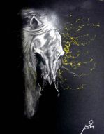 Stallion - sand paper sketch