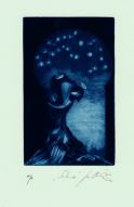 Salomé – (C7) – 134x83