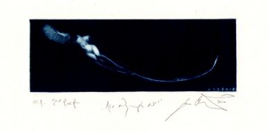 Air Nymph No. 1 – (C7) –55x160