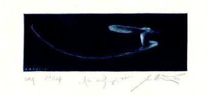Air Nymph No. 2 – (C7) –55x160