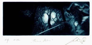 Panova flétna/ Pan´s Flute