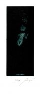 Klec-The Cage – (C7) – 156x61